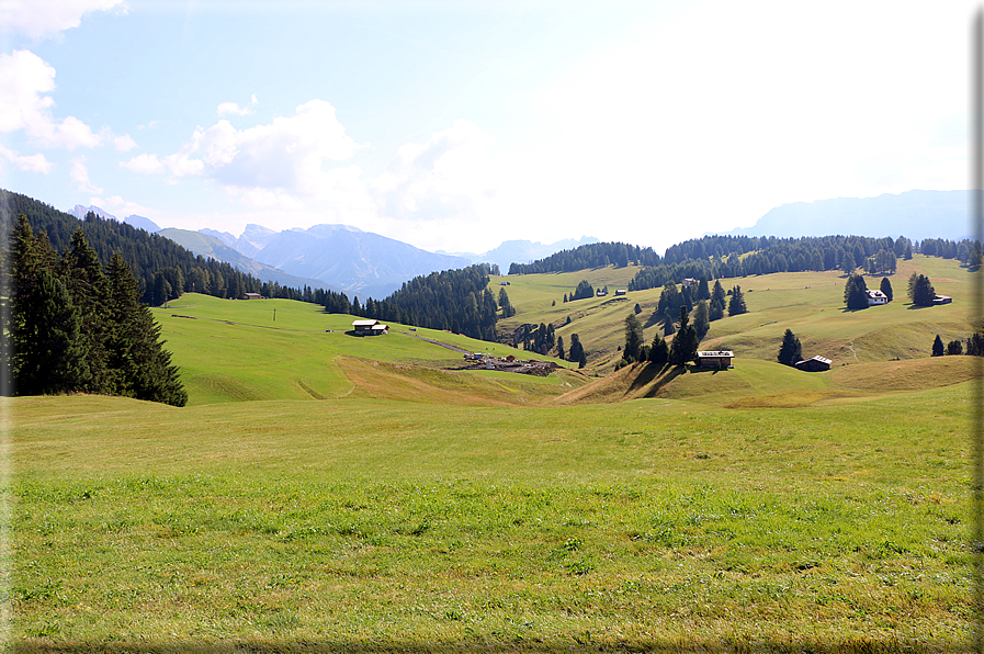 foto Alpe di Siusi